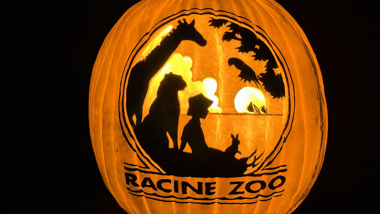 Gear up for Halloween at the zoo in Racine
