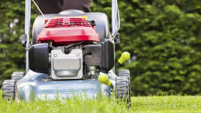 lawn mowing jobs for 13 year olds near me