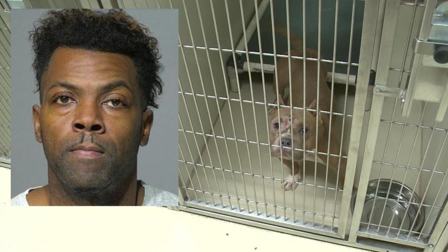 Milwaukee man charged after officials seize 113 animals from makeshift pet  store
