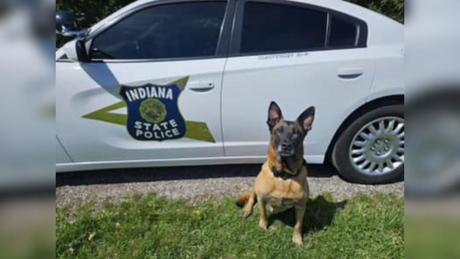 Indiana State Police K-9 Chase retires today