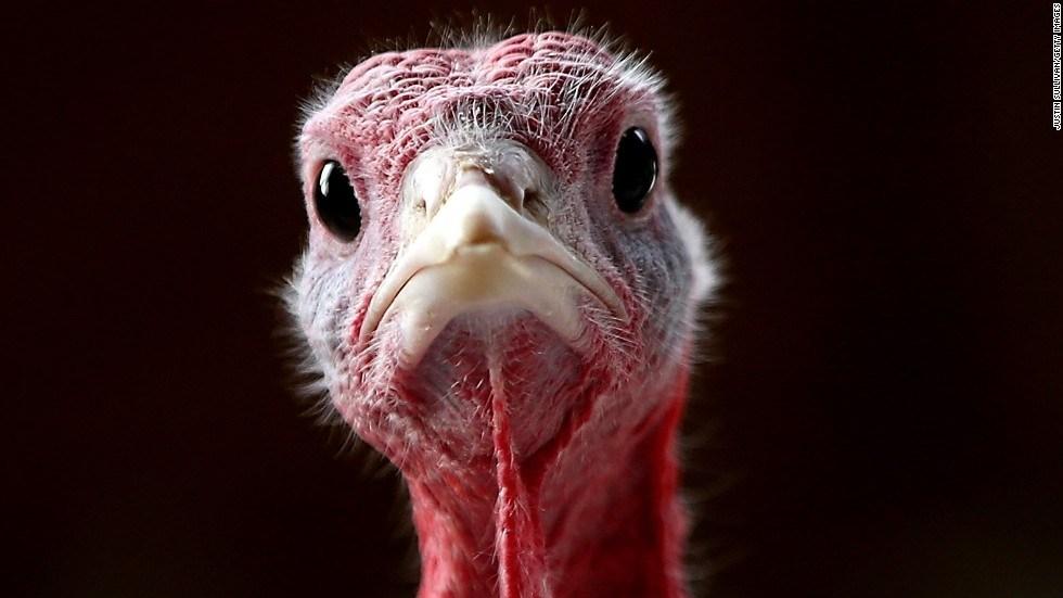 There's a Reason Turkey (the Bird) and Turkey (the Country) Share a Name